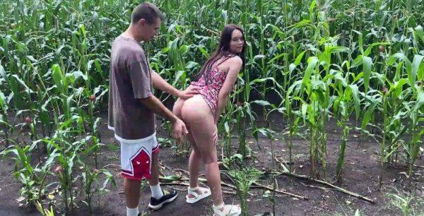 Amateur Busty Slut Getting Drilled Outdoors in a Corn Field on breastful.com