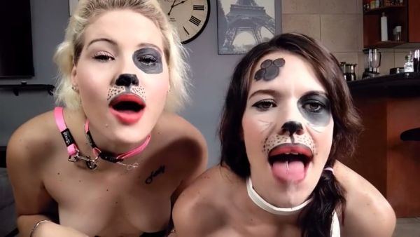 Blonde and brunette in dog masks tease in the kitchen with collars and tongues out on breastful.com
