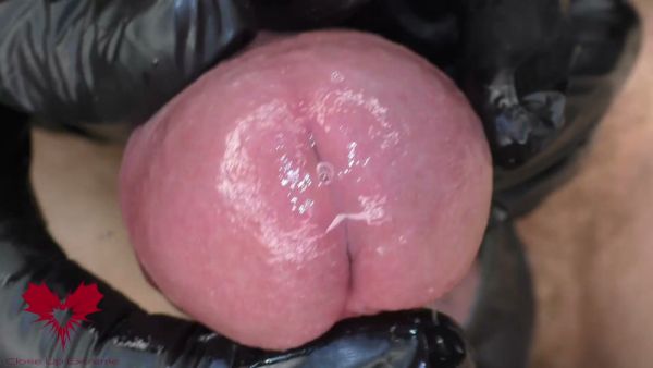 Close-up fetish session with latex gloves on pierced cock and ass on breastful.com