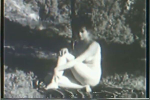 Retro Swedish naturists embrace in sunlit forest clearings - Sweden on breastful.com