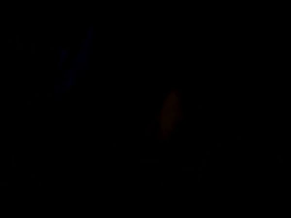 Hairy intimate moments with passionate oral and delicate fingering on breastful.com